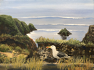 Mendocino Coast
